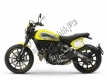 All original and replacement parts for your Ducati Scrambler Flat Track Thailand 803 2015.